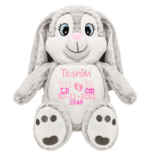 Lapin - PinPin II