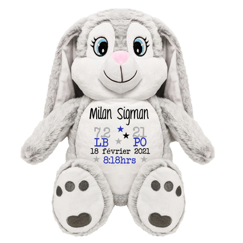 Lapin - PinPin II