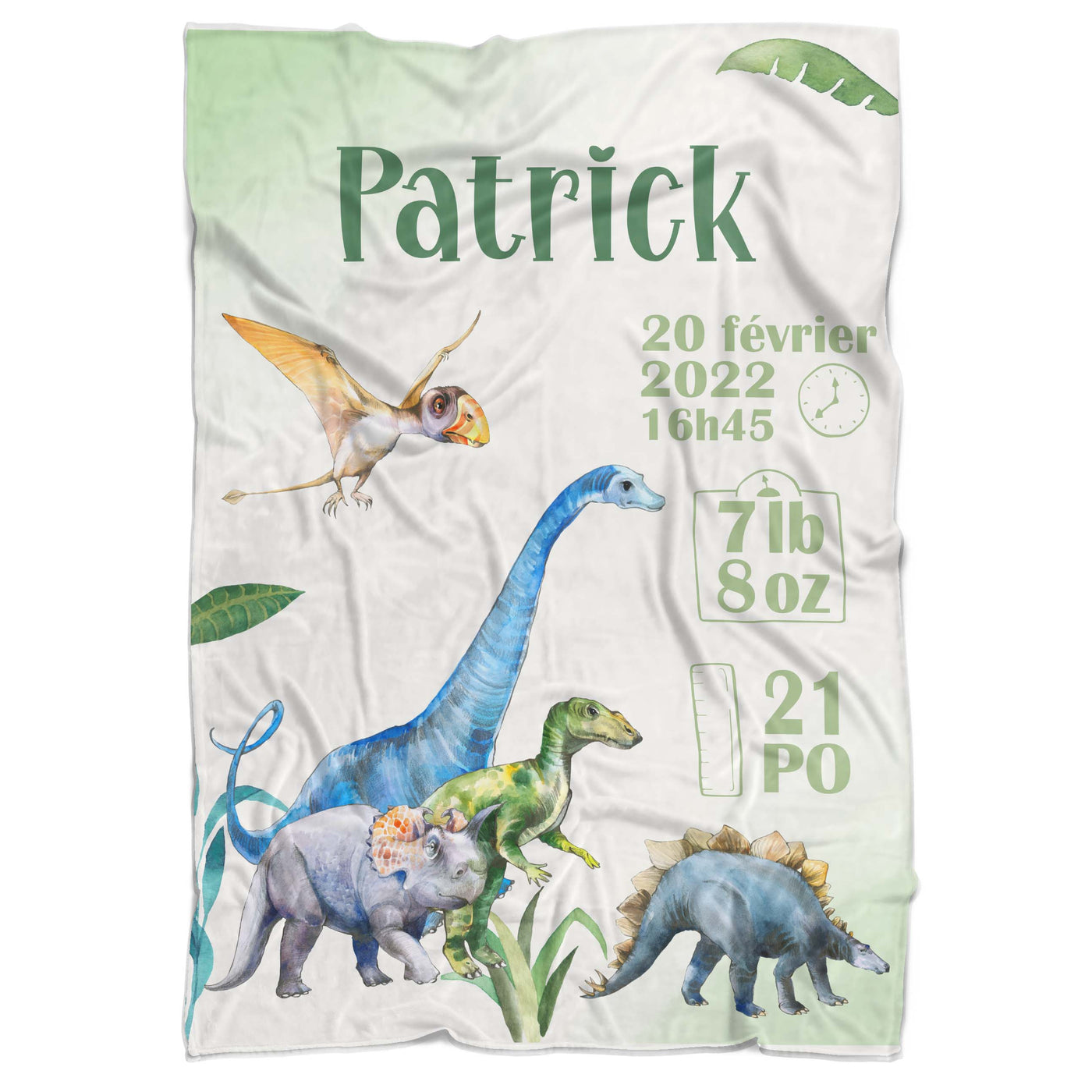 Couverture de naissance dinosaurs